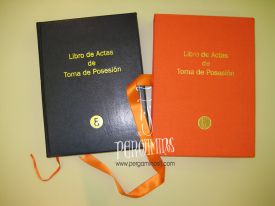 LIBRO DE ACTAS DE TOMA DE POSESIÓN (conjunto), Colegio Oficial de Economistas