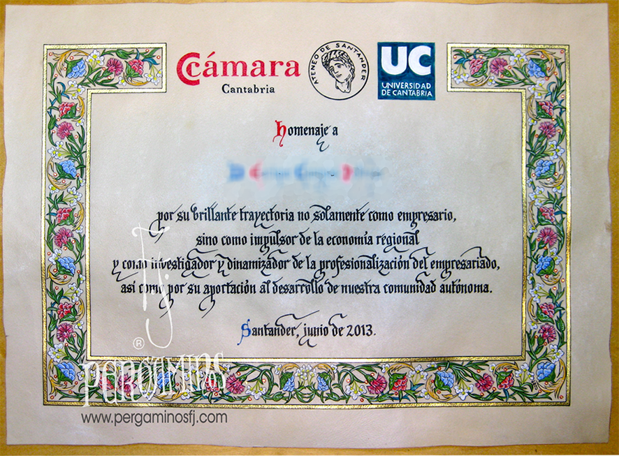 Diploma CEMIDE